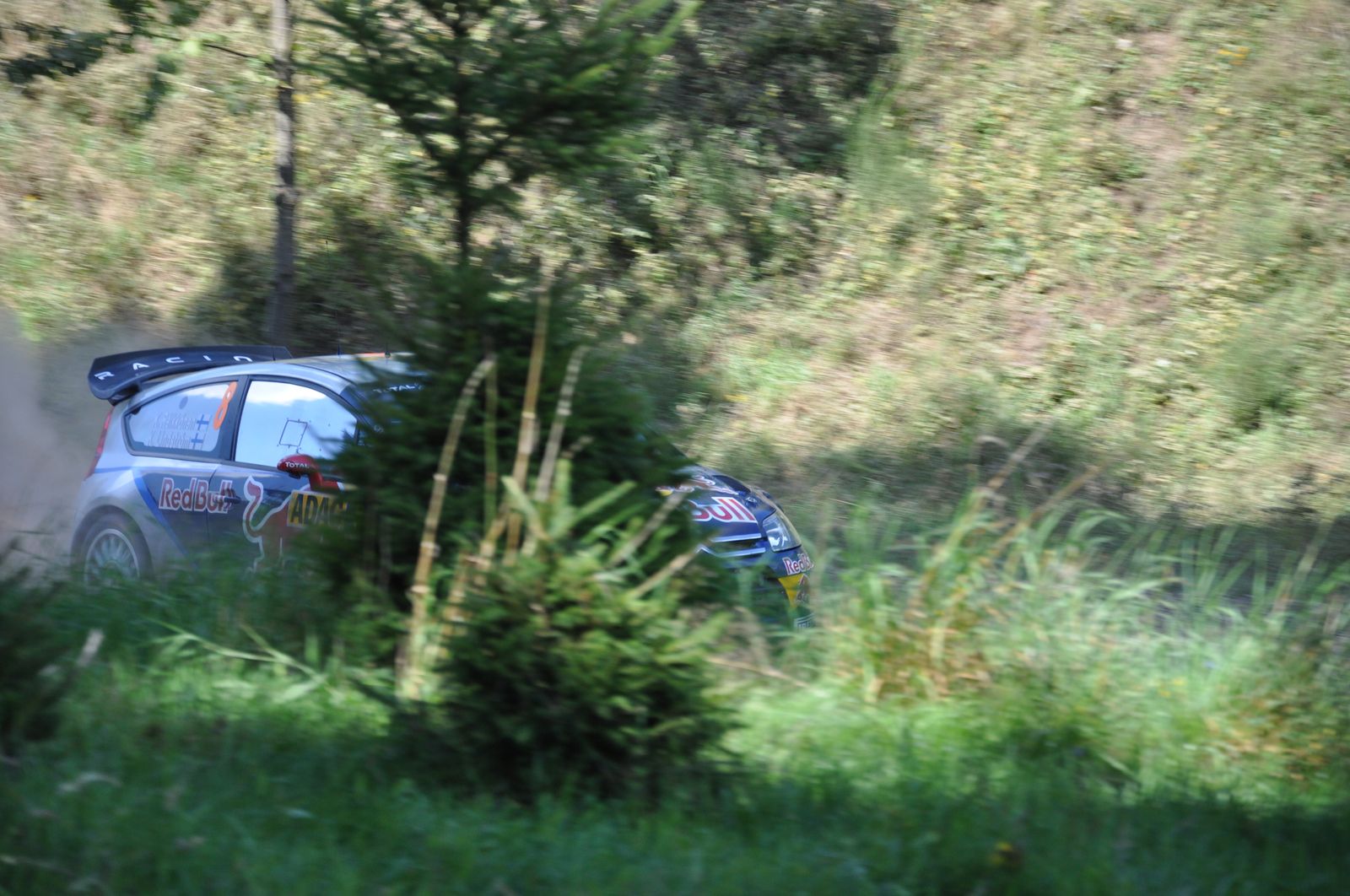 WRC-D 21-08-2010 589 .jpg